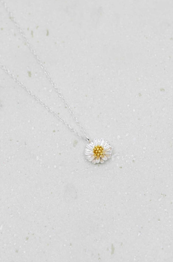 Kette Silber Blume Daisy