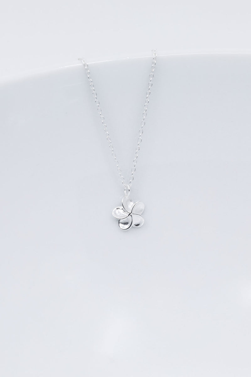 Kette Silber Frangipani Blume