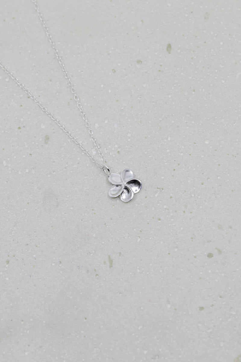 Kette Silber Frangipani Blume